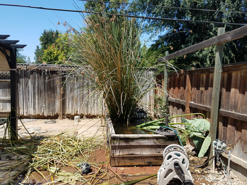 Illustration for article titled Yard Work Sunday